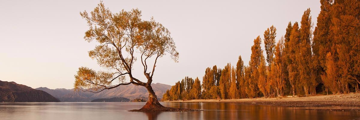 Loïc Mathieu | 🦋 @loicmathieu.fr banner