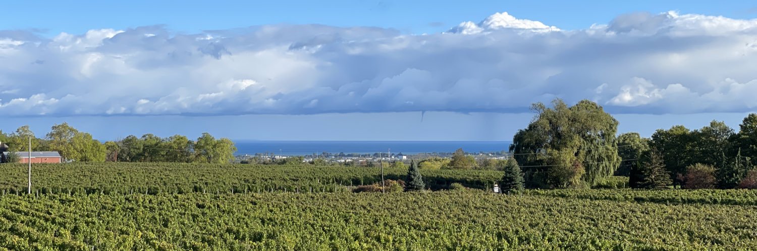 FieldingWinery's profile banner image