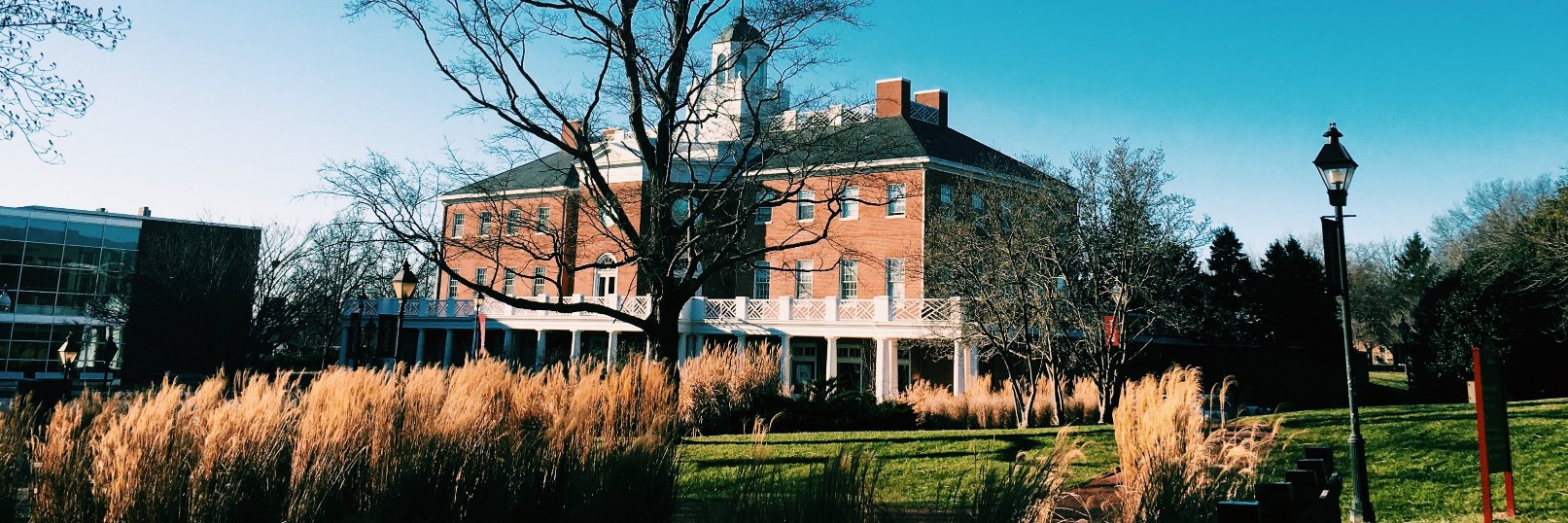 Washington College banner