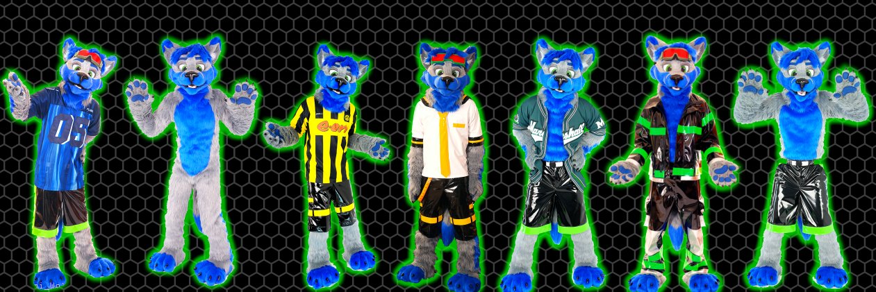 Elecami_Wolf's profile banner image