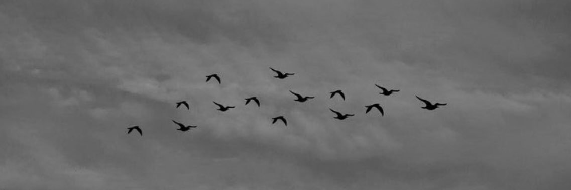 ikh10m's profile banner image