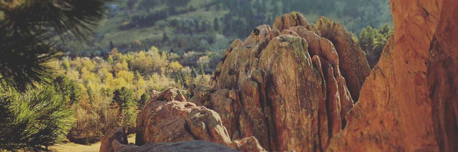 Tyler Scheitlin banner