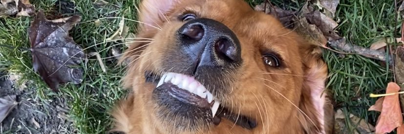 garthbrooks6969's profile banner image