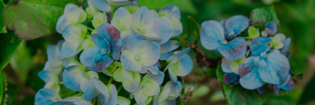 AdryTSB's profile banner image