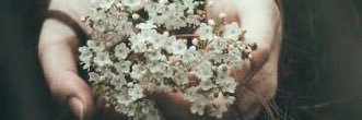 smiled0511's profile banner image