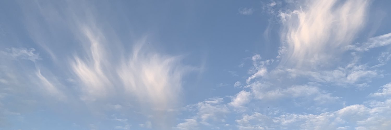 lsicoh's profile banner image