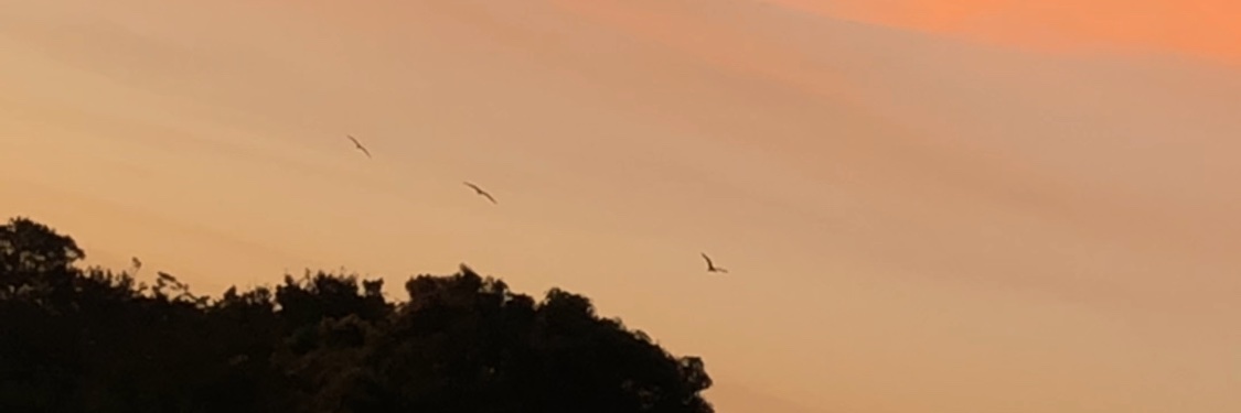 laisnetto__'s profile banner image
