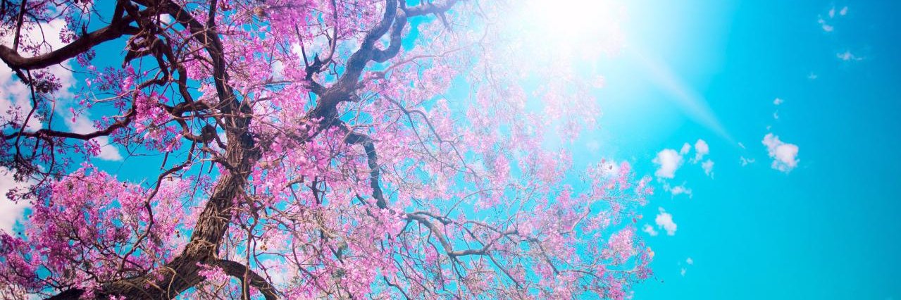Jay_Flux's profile banner image