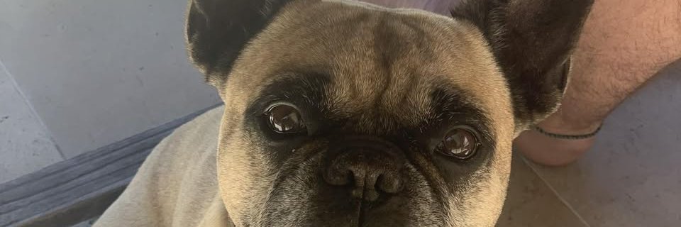 JoanWebb4's profile banner image