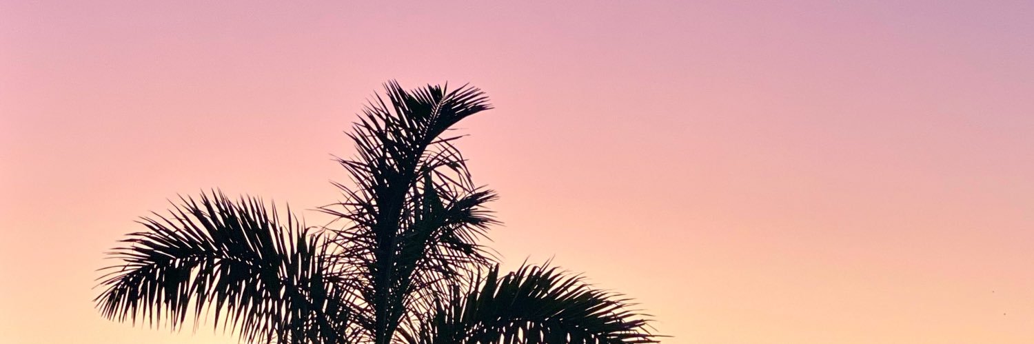 elerol9's profile banner image