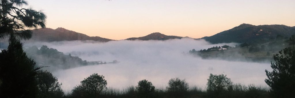 ChavaTemores's profile banner image