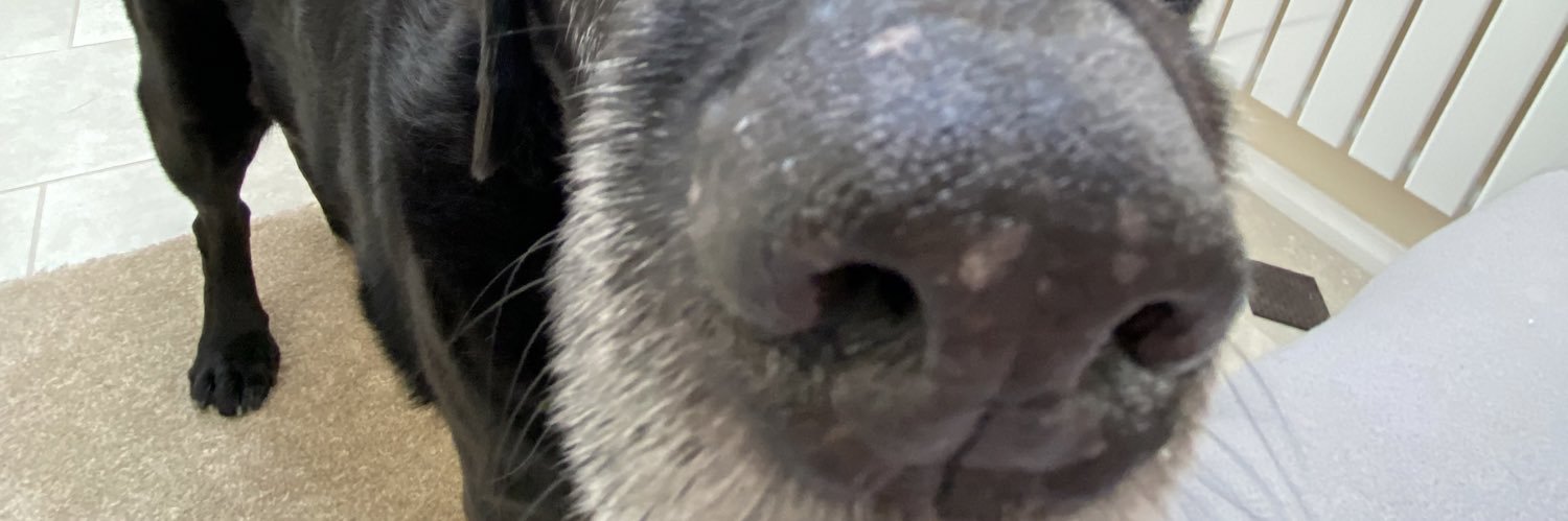 WorthSamuel's profile banner image