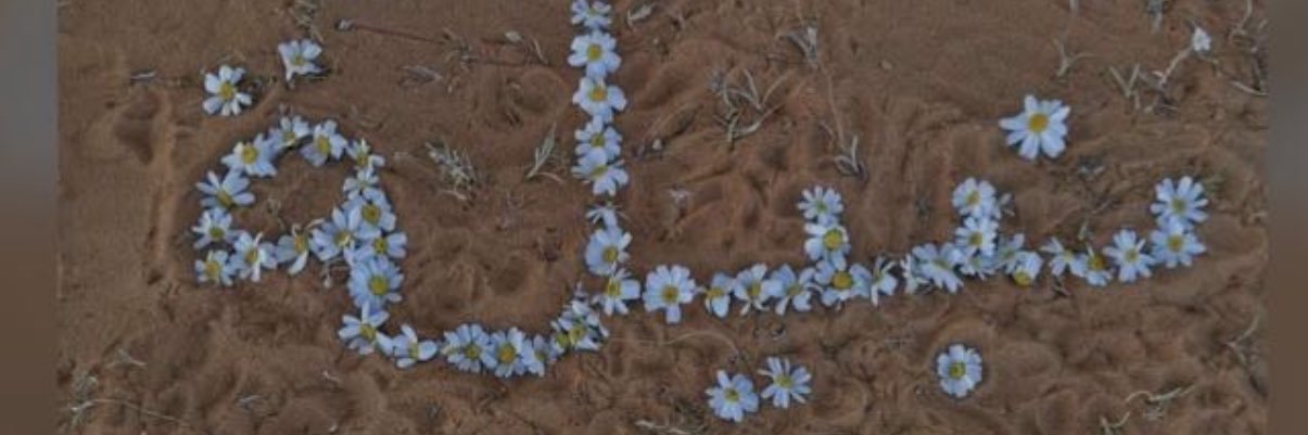 nabeelah32's profile banner image