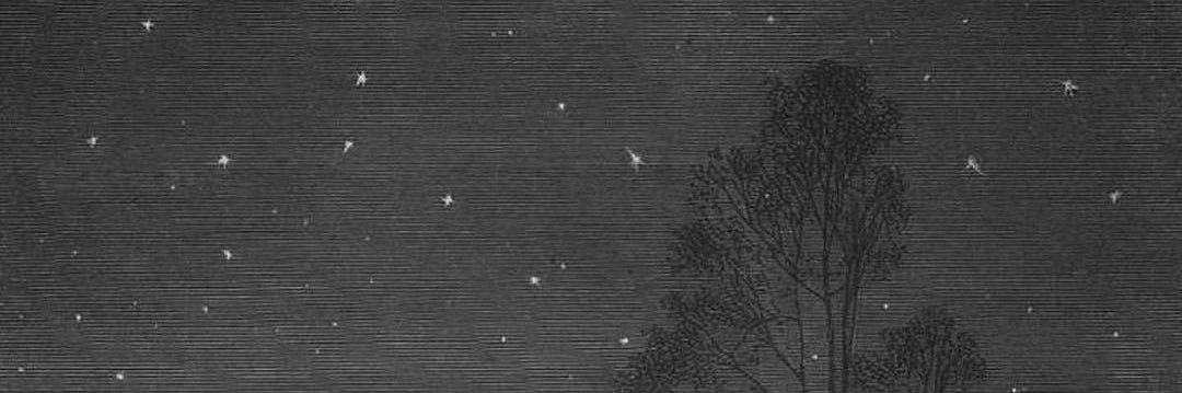 jasbolis's profile banner image