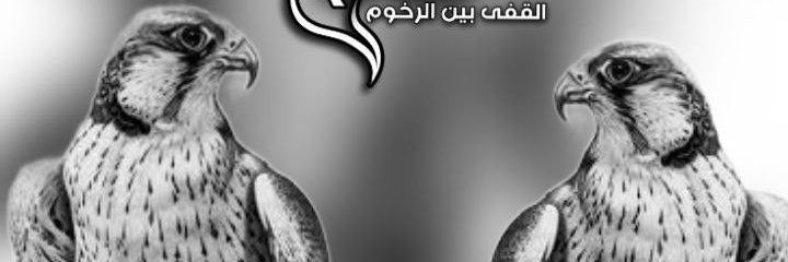 5aled911's profile banner image