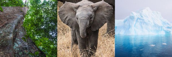 EIAEnvironment Profile Banner