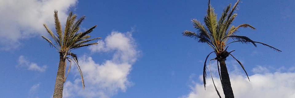 VTorresCosta's profile banner image