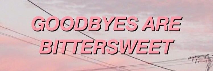 lauxtay's profile banner image