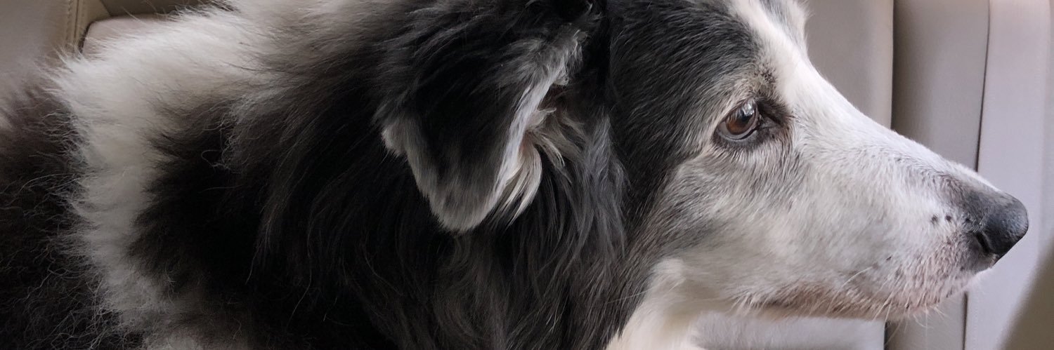 14_conor's profile banner image