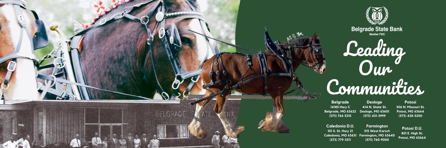 BelgradeStBank's profile banner image