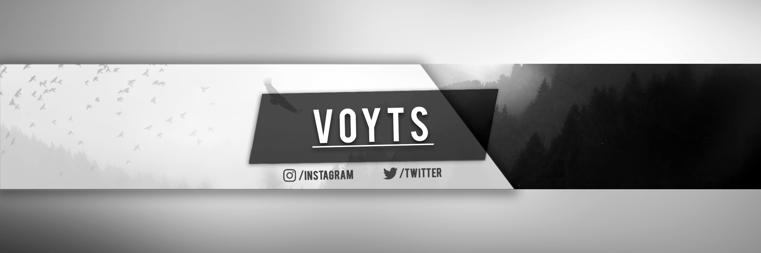 voitsgo's profile banner image