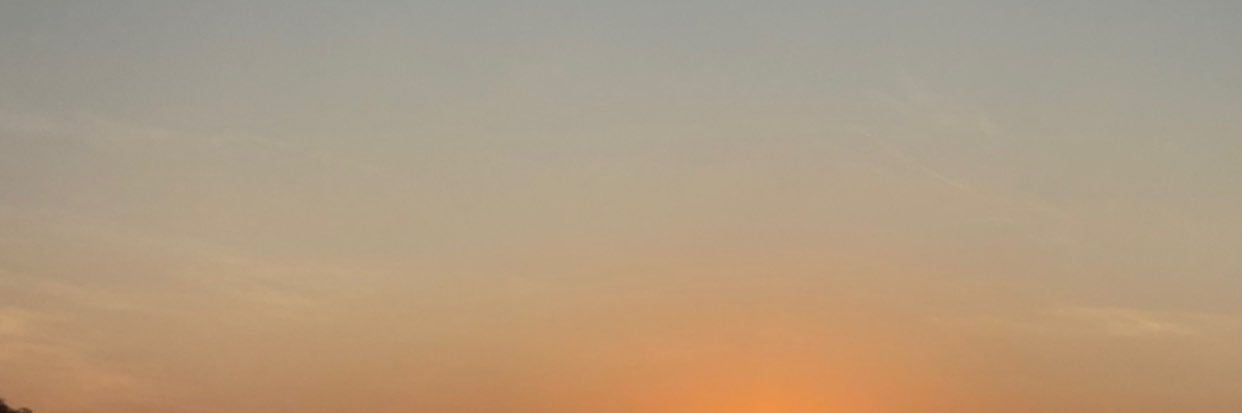 ashleytun's profile banner image
