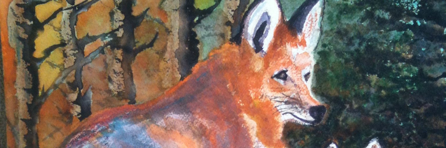 drheidibach's profile banner image