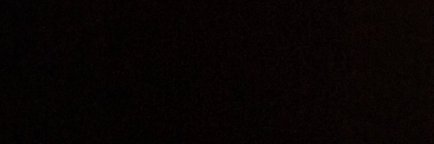 lionqueenbe's profile banner image