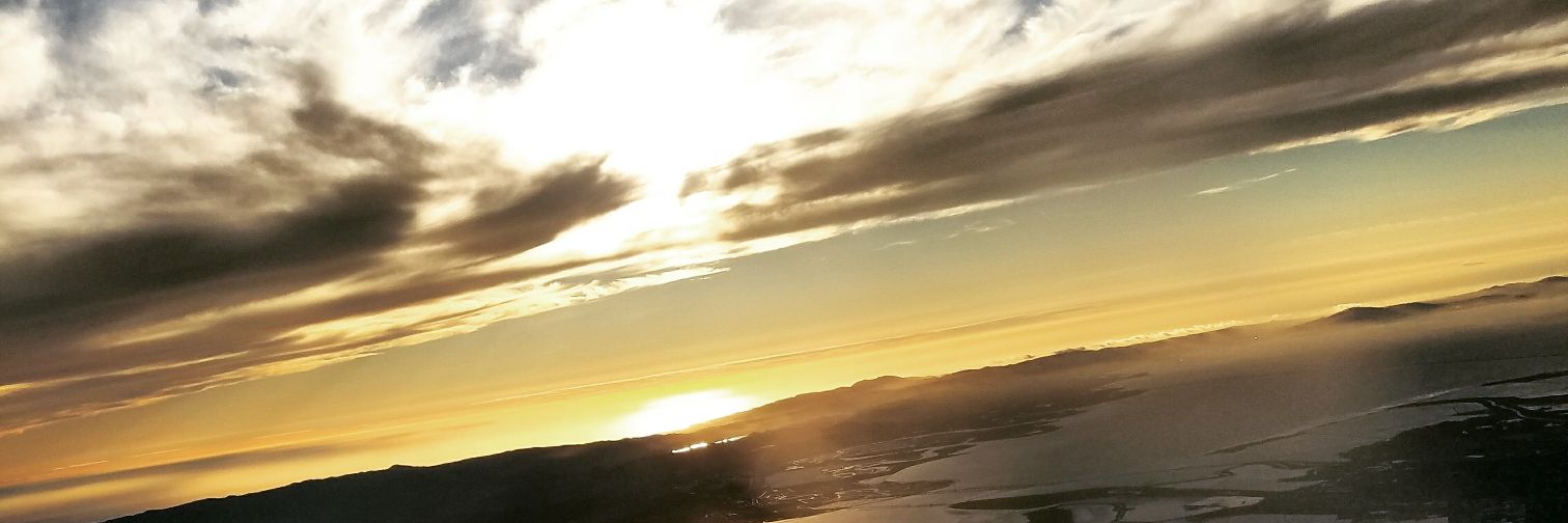 Curious George banner