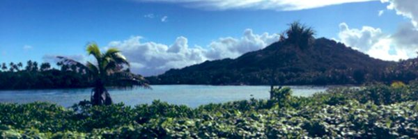 Ringsta1 Profile Banner