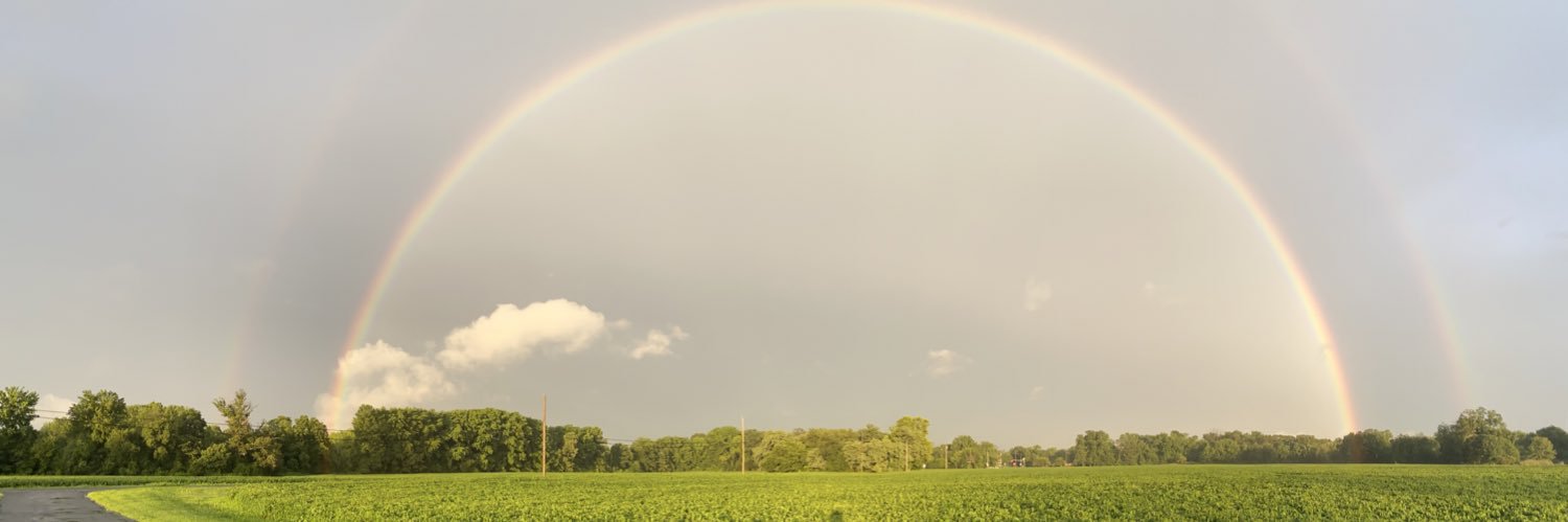 adrianashannon's profile banner image