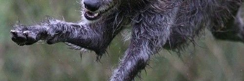NickStuart7's profile banner image