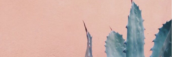 Isabelle_Ubeda's profile banner image