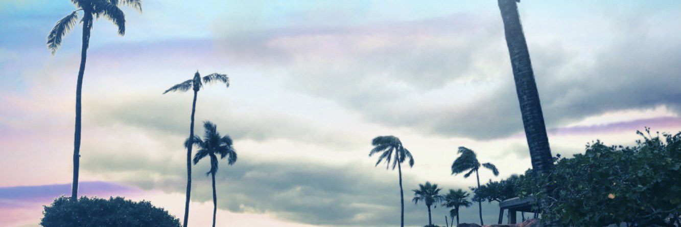 MarchelleMarie's profile banner image