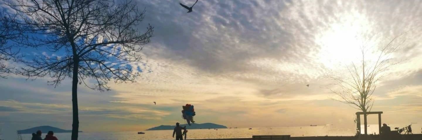 olgnyrl's profile banner image