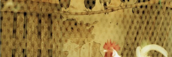 ainapomar Profile Banner