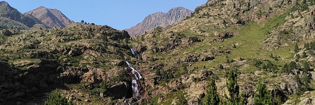 decalbotiguer's profile banner image