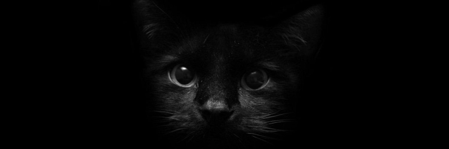 gd2r's profile banner image