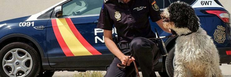 oscarpsicos's profile banner image