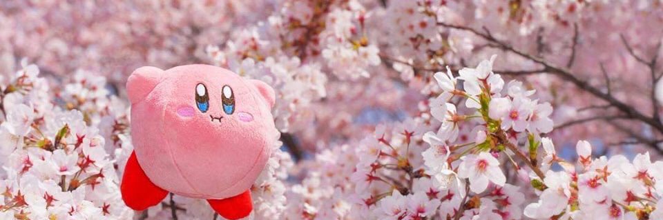 CatAttacksYou's profile banner image
