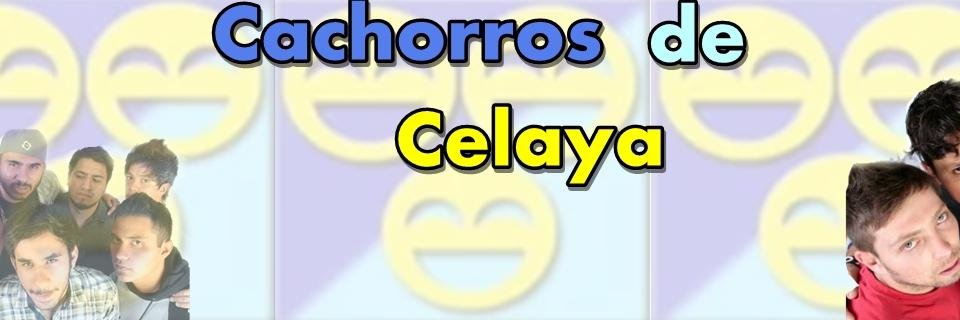 Fanw2mcelaya's profile banner image