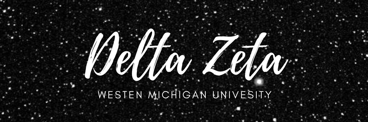 Delta Zeta banner
