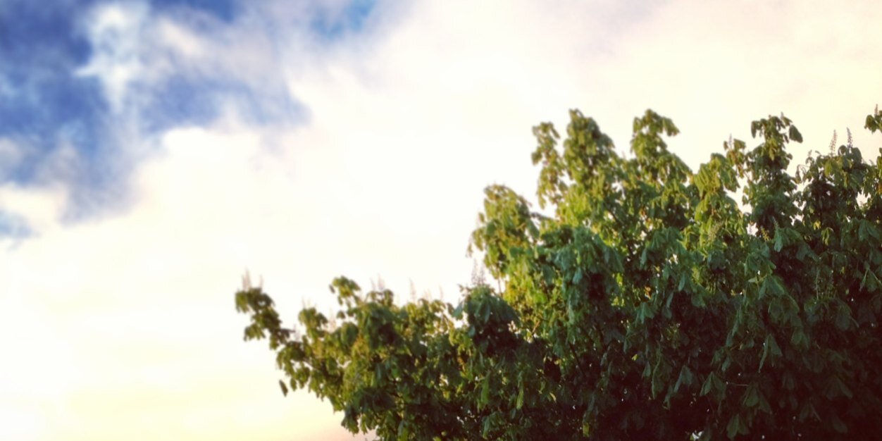 FarrellyLiam's profile banner image
