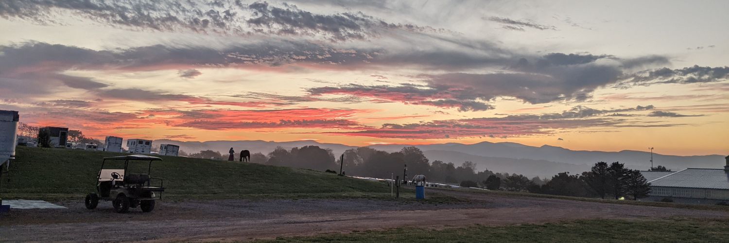 Lori K. Brown | Abortion rights are human rights. banner