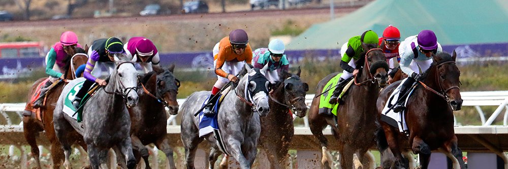 RacingReform's profile banner image