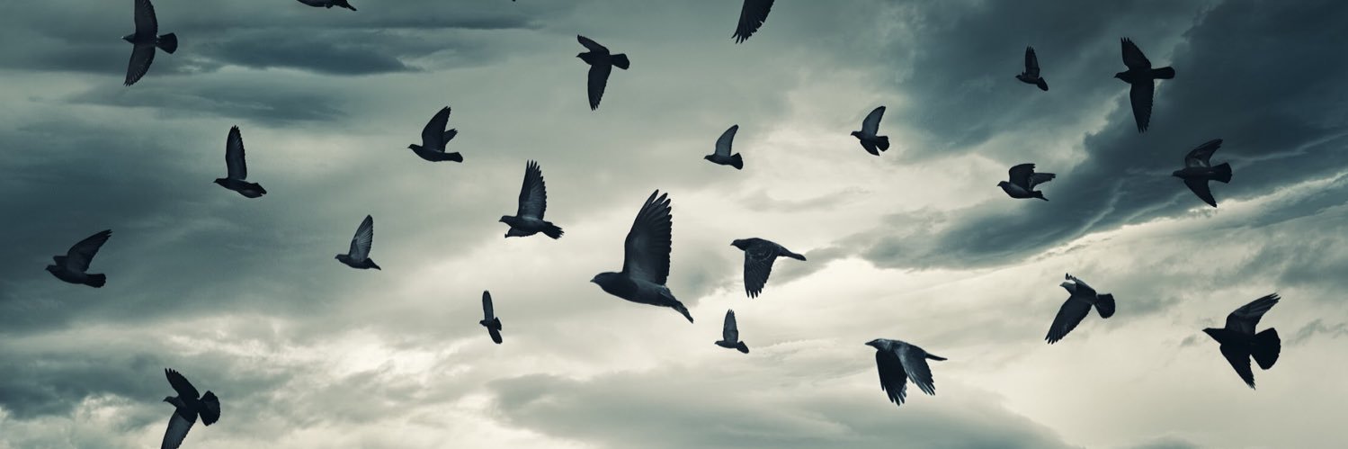 JohanWesterlind's profile banner image