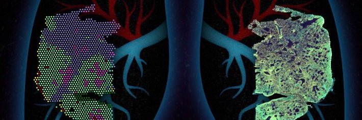 The Jeremy Chase Crawford Lab banner