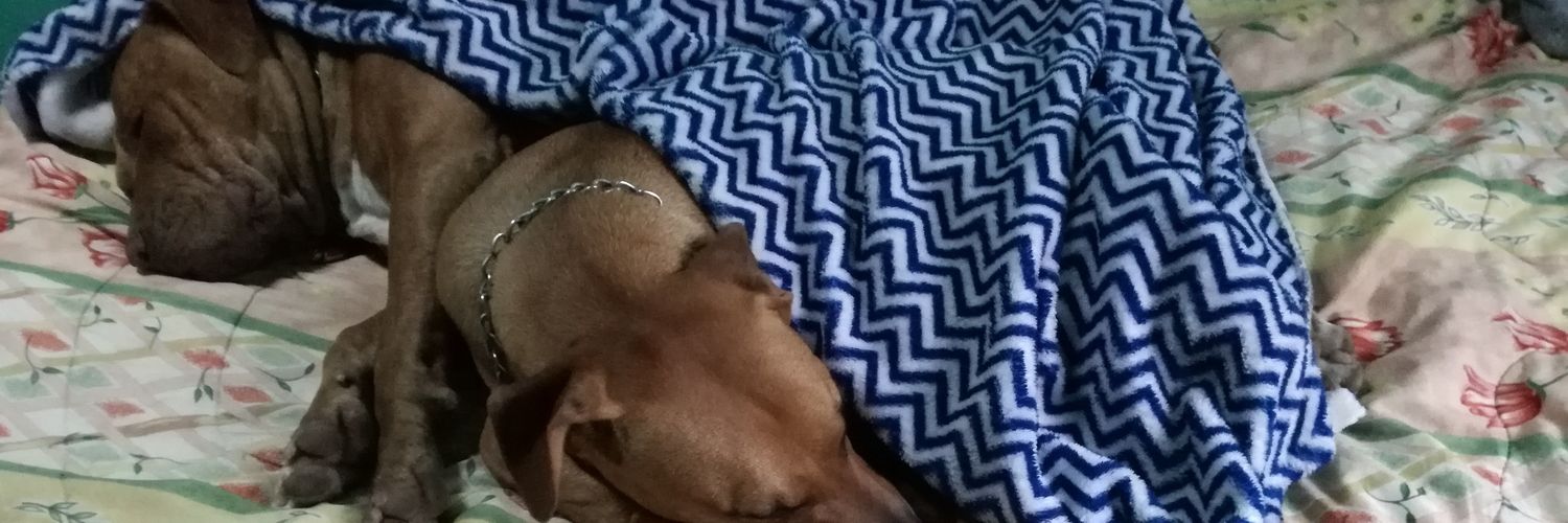 SarixOrtega's profile banner image