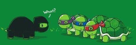 monster_turtle's profile banner image