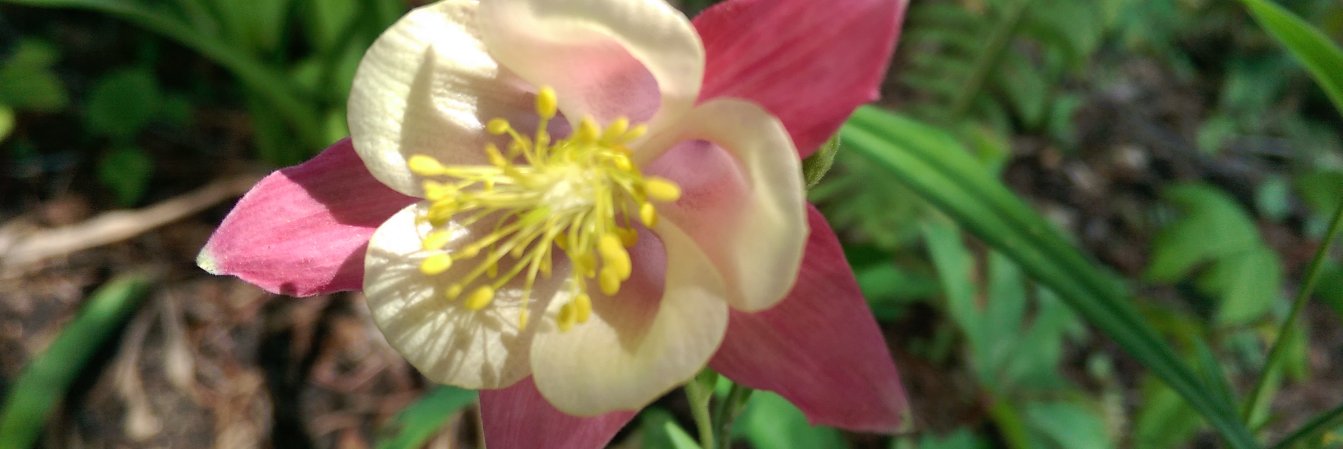 WpgWoman's profile banner image